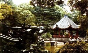 丁香花园 丁香花园