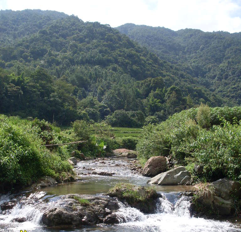 坪坑村 坪坑村