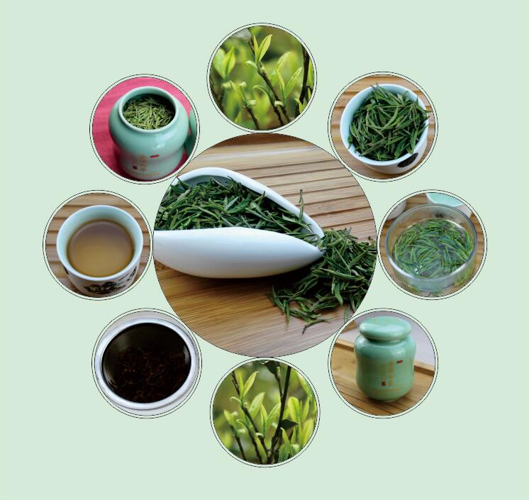 资溪白茶 资溪白茶