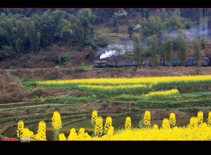 乐山嘉阳国家矿山公园 乐山嘉阳国家矿山公园
