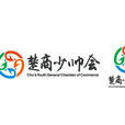 楚商少帅会 楚商少帅会