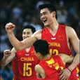 姚明的NBA生涯 姚明的NBA生涯
