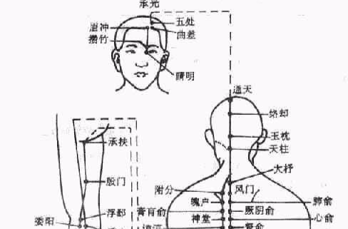针灸推拿学(高校开设的专业) 针灸推拿学(高校开设的专业)