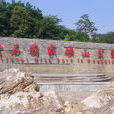 黄石国家矿山公园 黄石国家矿山公园