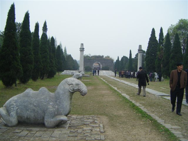 找郢乡 找郢乡