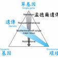 孟德尔遗传病 孟德尔遗传病