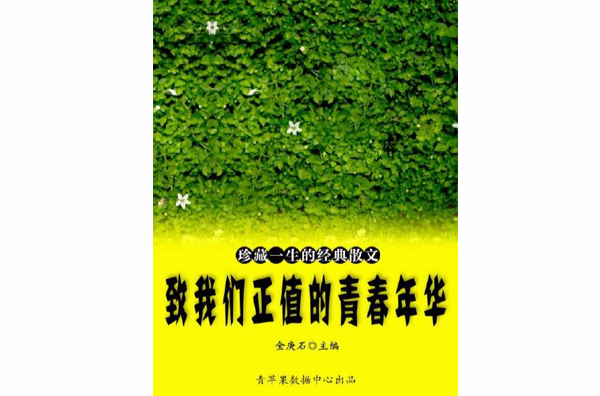致我们正值的青春年华 致我们正值的青春年华