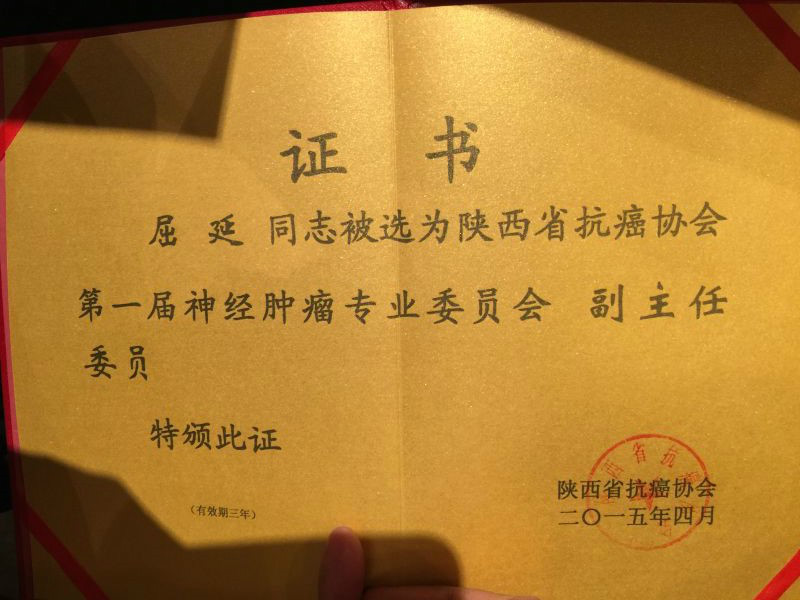 屈延 屈延