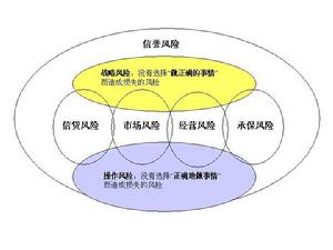 战略风险管理 战略风险管理