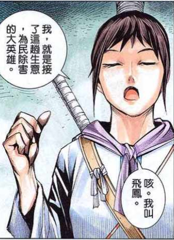 飞鳯