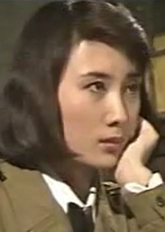 桃花扇喋血记