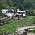 双洞村(贵州省六盘水市钟山区月照乡下辖村) 双洞村(贵州省六盘水市钟山区月照乡下辖村)