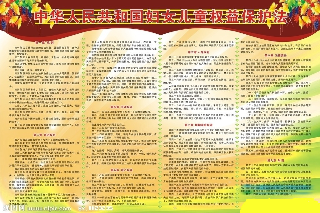 中华人民共和国妇女儿童权益保护法 中华人民共和国妇女儿童权益保护法