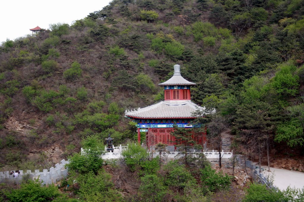 东庄子村(山东省广饶县大王镇下辖村) 东庄子村(山东省广饶县大王镇下辖村)