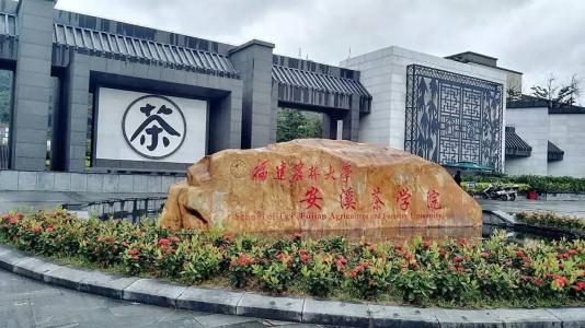 安溪茶学院 安溪茶学院