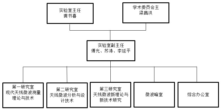 组织结构 组织结构