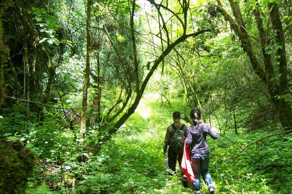 宁远九嶷山三分石 宁远九嶷山三分石