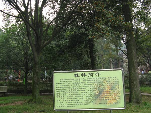 贡井人民公园(张家花园(四川省传统建筑)) 贡井人民公园(张家花园(四川省传统建筑))