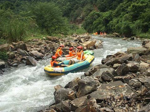 灵溪河森林旅游渡假公园 灵溪河森林旅游渡假公园
