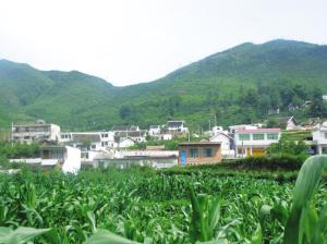 红堰村 红堰村