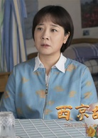 西京故事(2016年姚远执导电视剧)