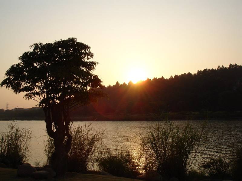 碧波湖 碧波湖