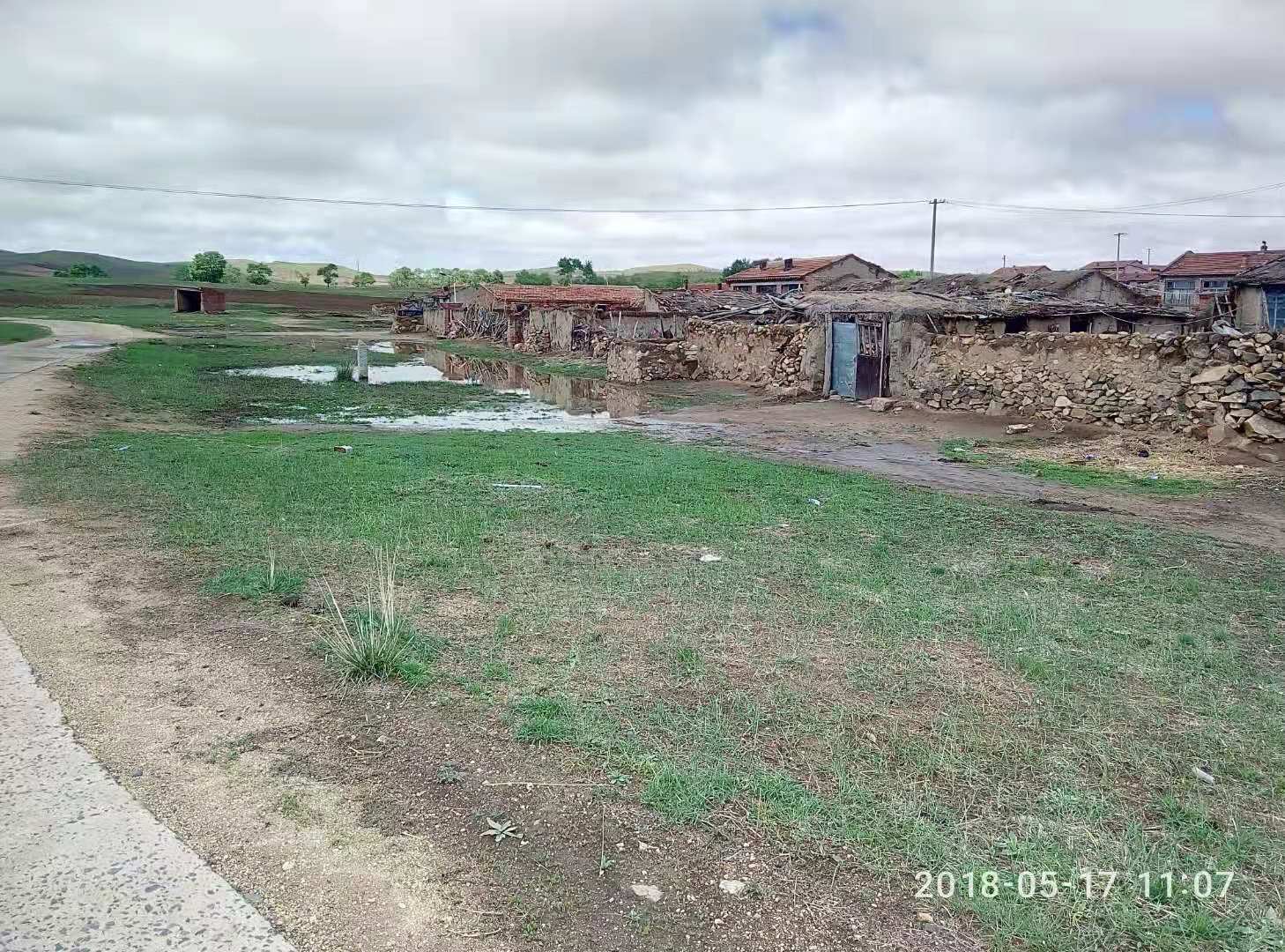王善地 王善地