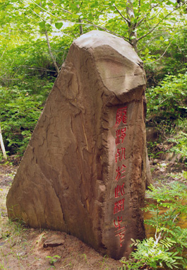 郯城县