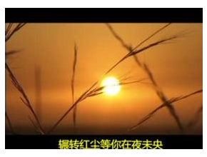 梦回楼兰(苏勒亚其其格) 梦回楼兰(苏勒亚其其格)