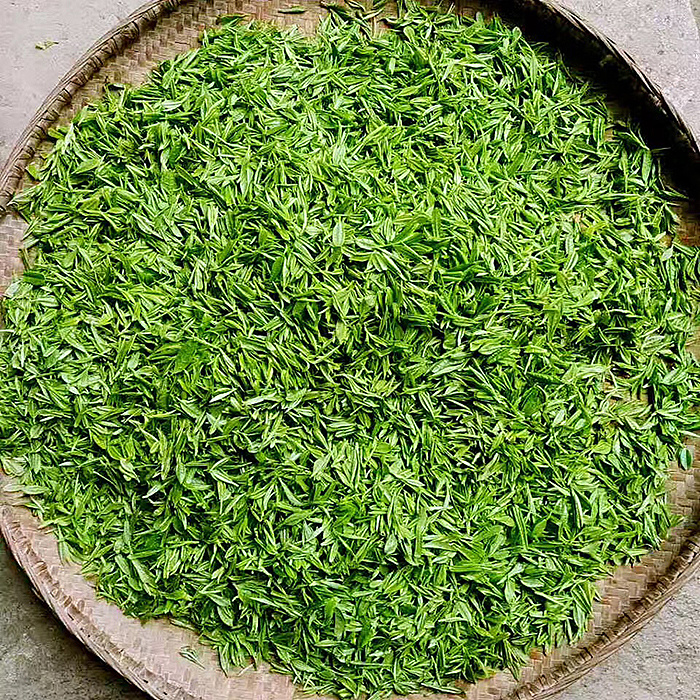 大悟绿茶 大悟绿茶