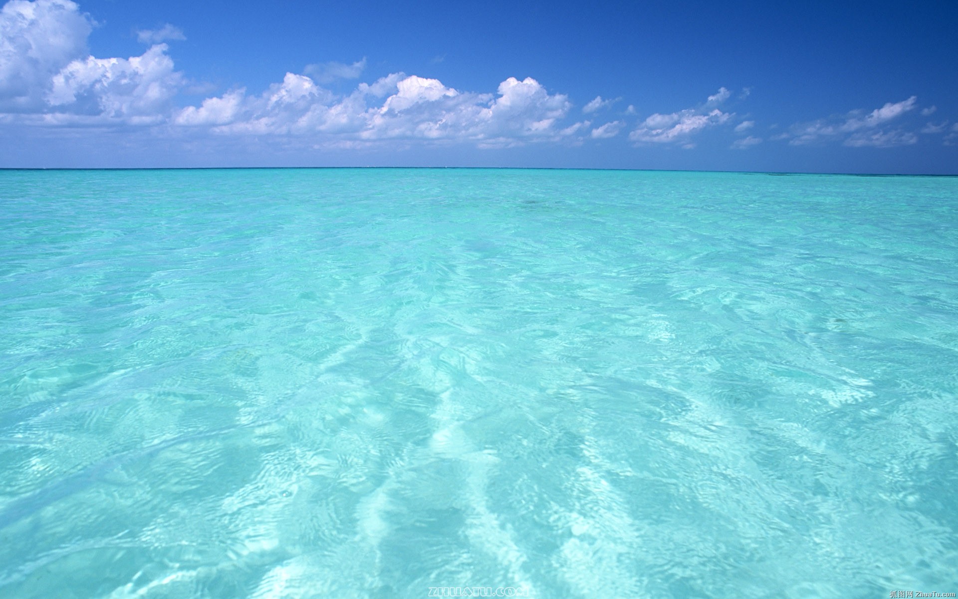 海洋 海洋