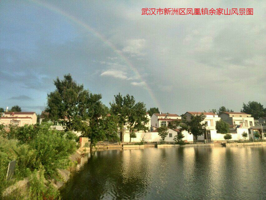 凤凰镇(湖北省武汉市新洲区凤凰镇) 凤凰镇(湖北省武汉市新洲区凤凰镇)
