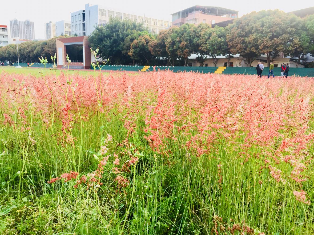 泉州市农业学校 泉州市农业学校