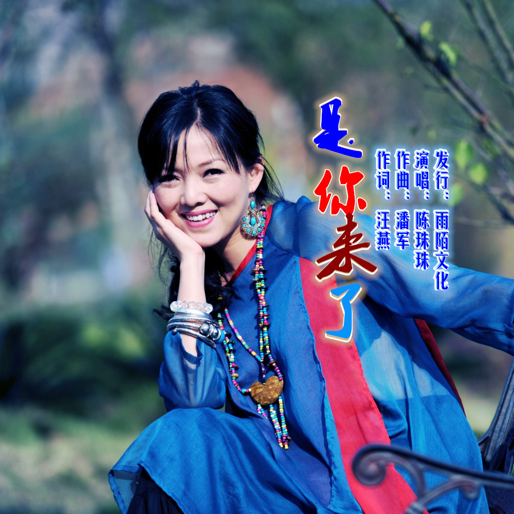 是你来了(封面照) 是你来了(封面照)