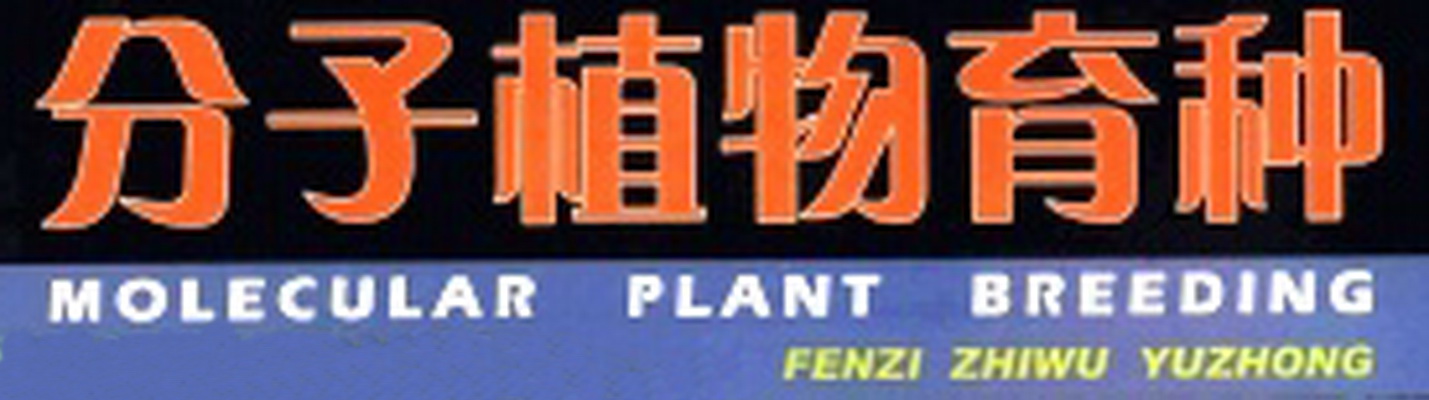 封面题字
