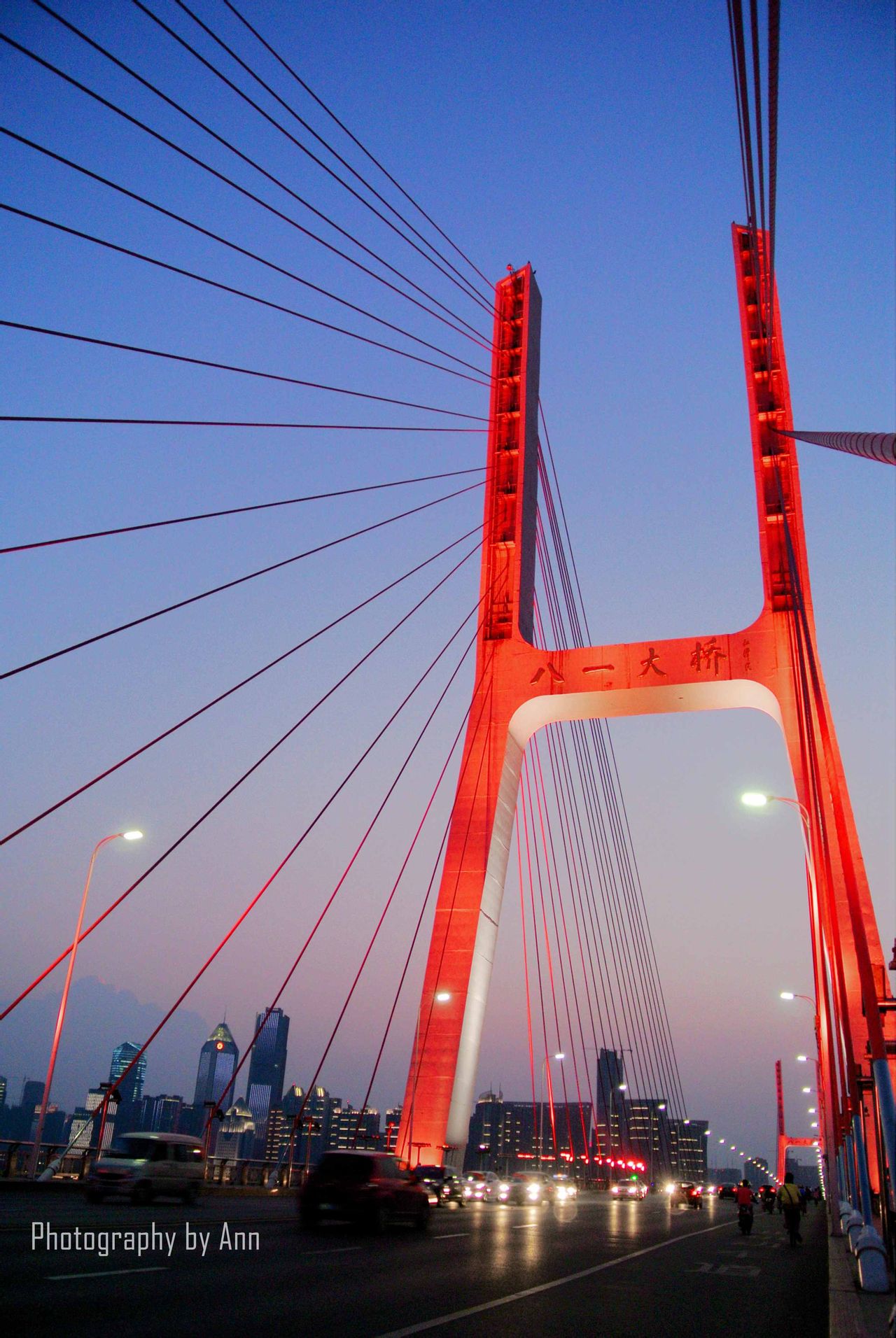 八一大桥夜景 八一大桥夜景