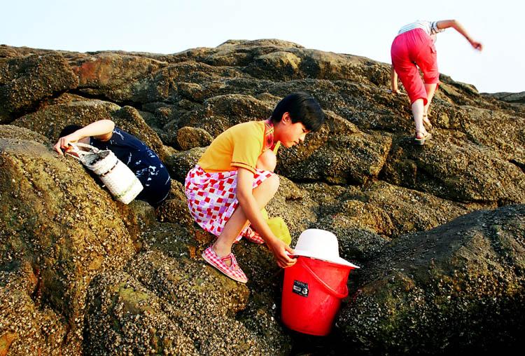 日照赶海 日照赶海