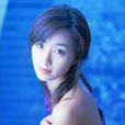 酒井法子 酒井法子