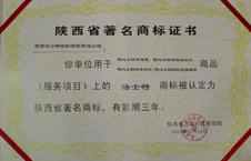 陕西法士特齿轮有限责任公司 陕西法士特齿轮有限责任公司