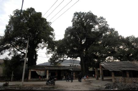 介桥村 介桥村