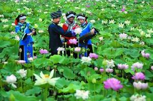荷湖周村 荷湖周村