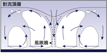热带气旋模拟图 热带气旋模拟图