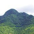 九龙嶂 九龙嶂