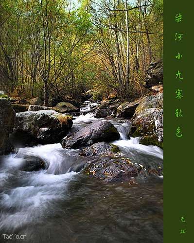 柴河 柴河