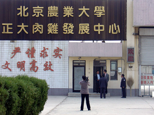 中国农业大学正大涿州肉鸡发展中心 中国农业大学正大涿州肉鸡发展中心