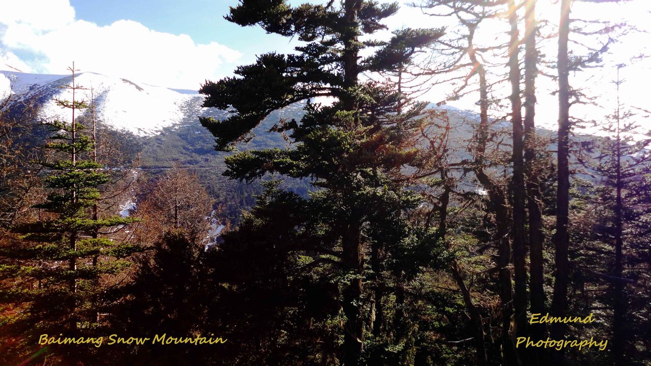 白马雪山 白马雪山