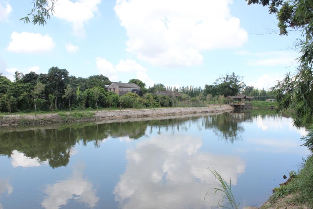 南门村 南门村