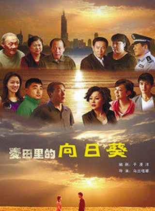 姚刚