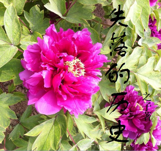 《失落的历史》封面 《失落的历史》封面
