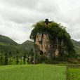 石柱观 石柱观